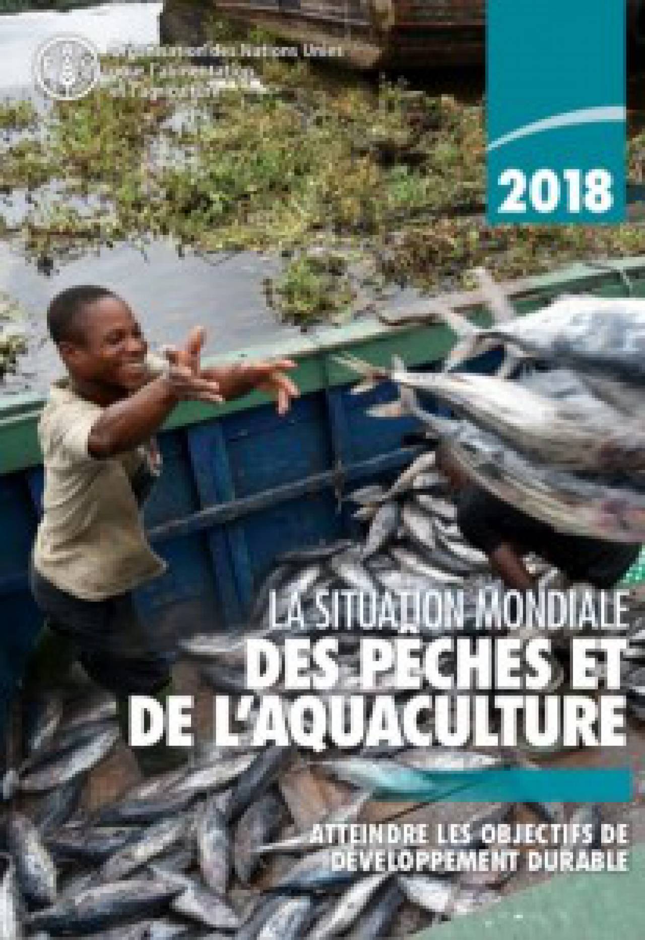 La situation mondiale des pêches et de l'aquaculture
