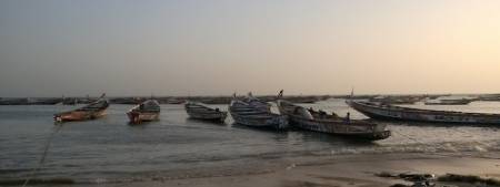 Repos biologique du 15-10-14 au 15-11-14 pour les navires de pêche industrielle démersale, et sur le poulpe pour la pêche artisanale