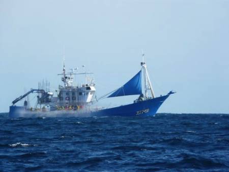 Délivrance non conforme à la loi d’autorisations de pêche à des thoniers canneurs étrangers