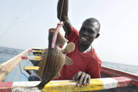 A qui appartient le poisson ?