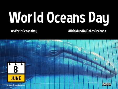 Journée Mondiale des Océans : le 08 Juin 2011