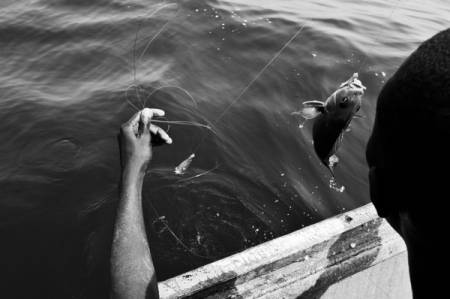 Etat des lieux sur la proposition d'accord de pêche entre l'UE & le Sénégal