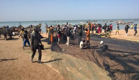 21 novembre 2014 :  Journée mondiale de la Pêche