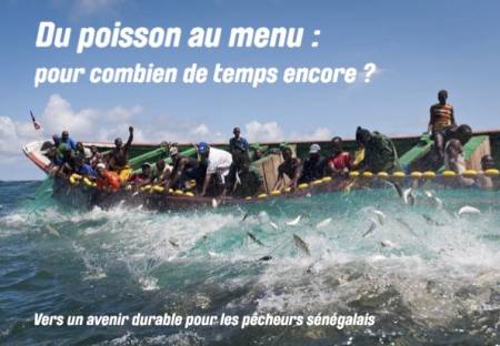 Du poisson au menu : pour combien de temps encore ?
