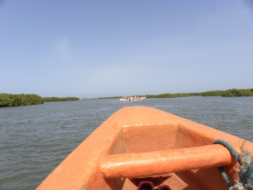 La bataille des mangroves à Joal-Fadiouth